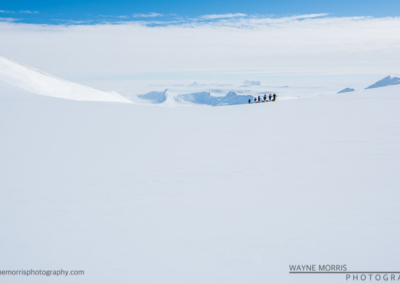 Antarctica Vinson Images #72