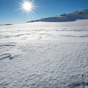 Antarctica Vinson Images #69