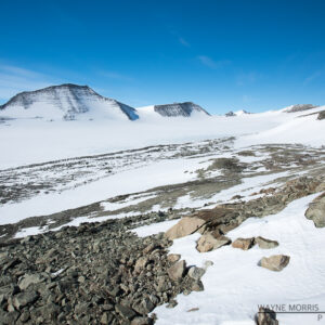Antarctica Vinson Images #2